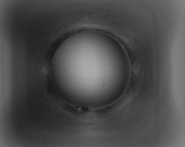 X0000101431495200807071331