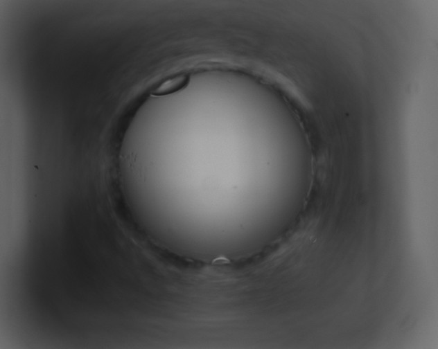 X0000101431496200807071331