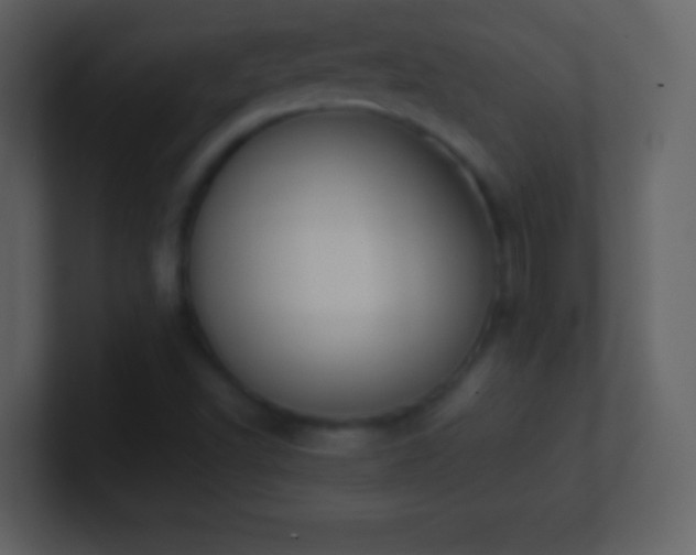 X0000101431502200807071331
