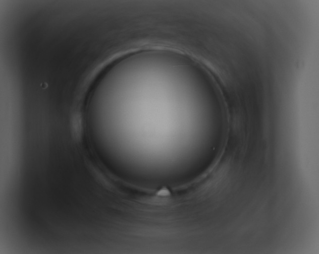 X0000101431503200807071331