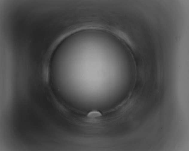 X0000101431504200807071331