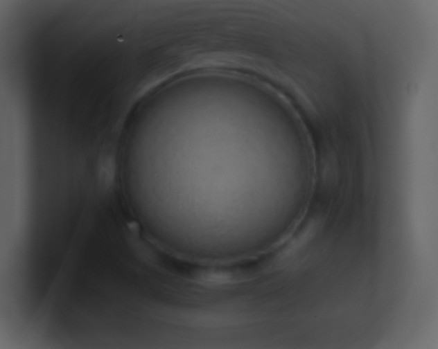X0000101431505200807071331