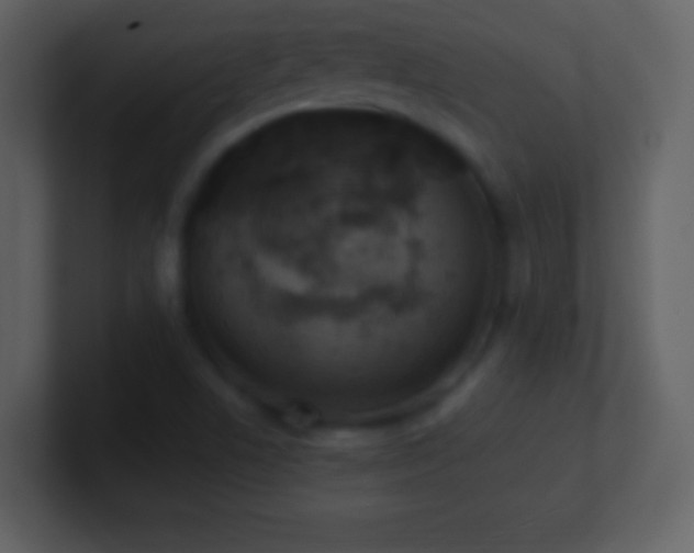 X0000101431506200807071331
