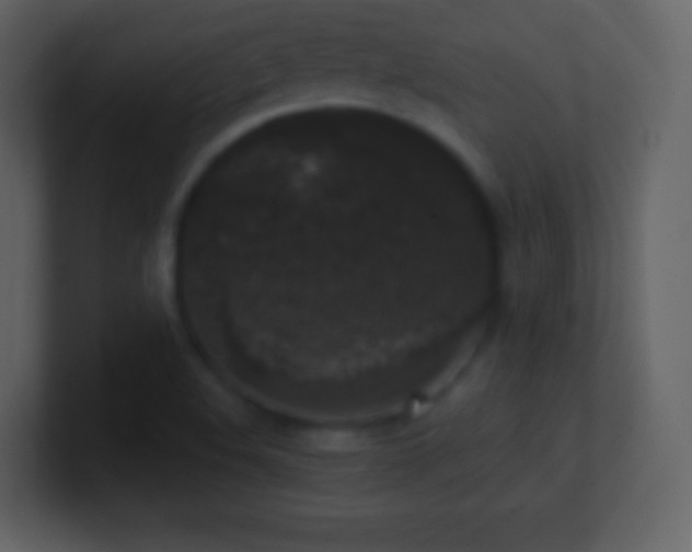 X0000101431508200807071331