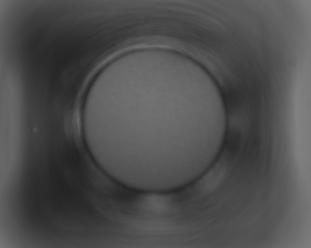 X0000101431514200807071331