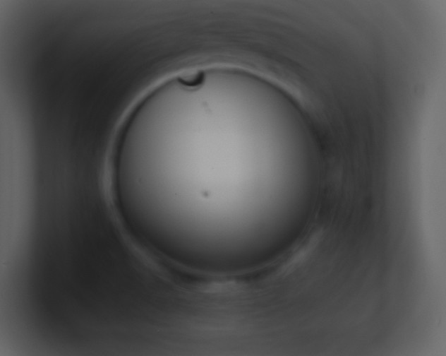X0000101431518200807071331