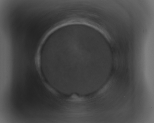 X0000101431519200807071331