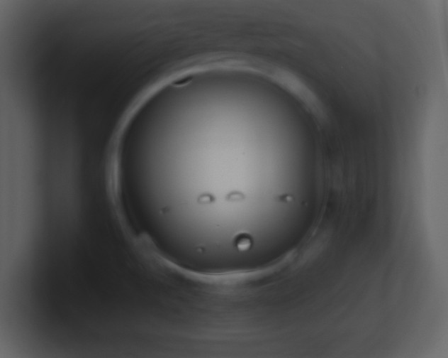 X0000101431520200807071331