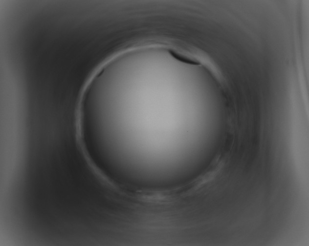 X0000101431524200807071331