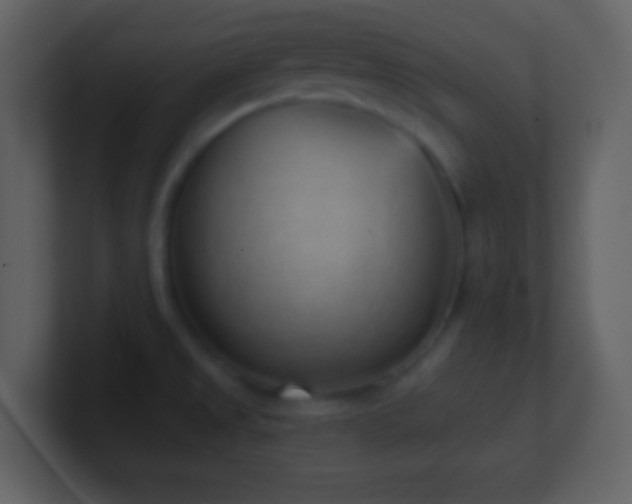 X0000101431525200807071331