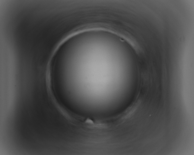 X0000101431526200807071331