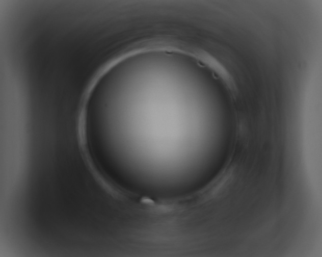 X0000101431528200807071331