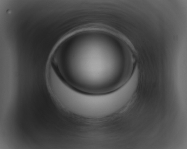 X0000101431530200807071331