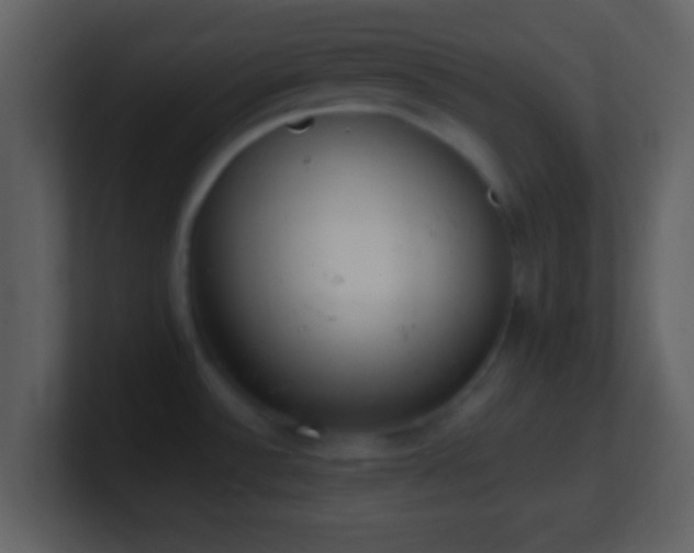 X0000101431532200807071331