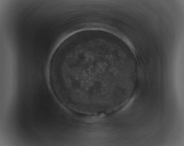 X0000101431533200807071331