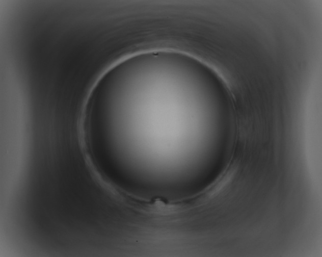 X0000101431534200807071331