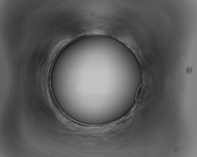 X0000101430001200807141253