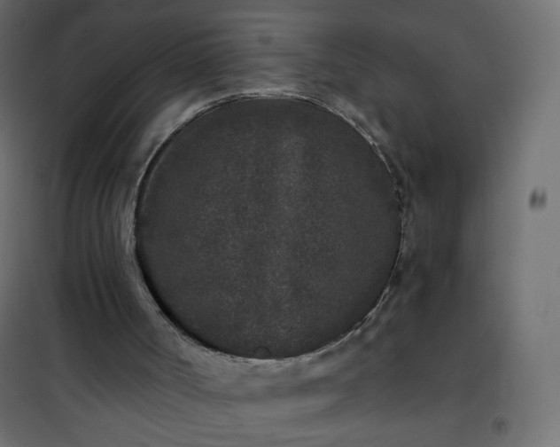 X0000101430002200807141253