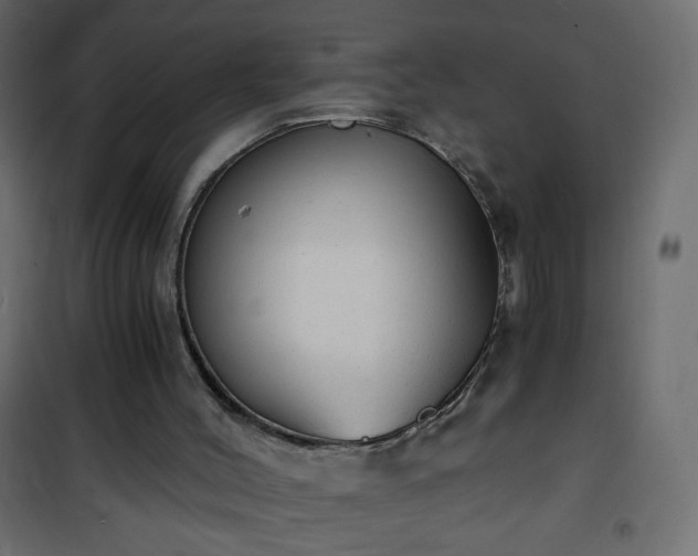 X0000101430004200807141253