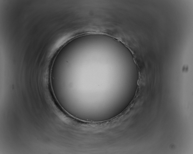 X0000101430005200807141253