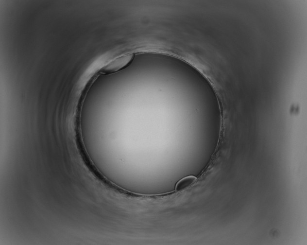 X0000101430007200807141253