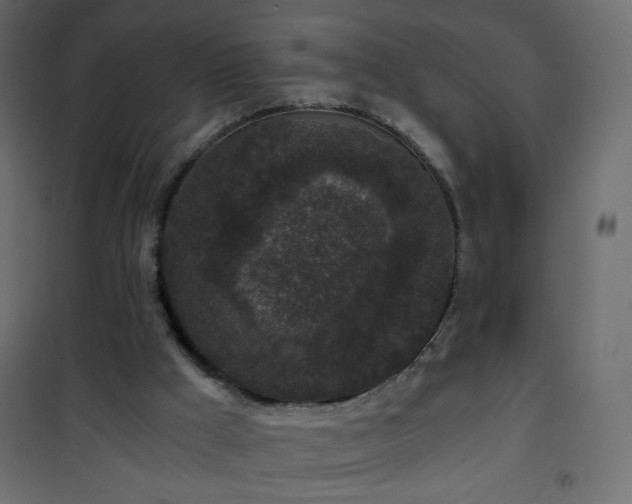 X0000101430009200807141253