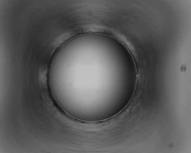 X0000101430010200807141253