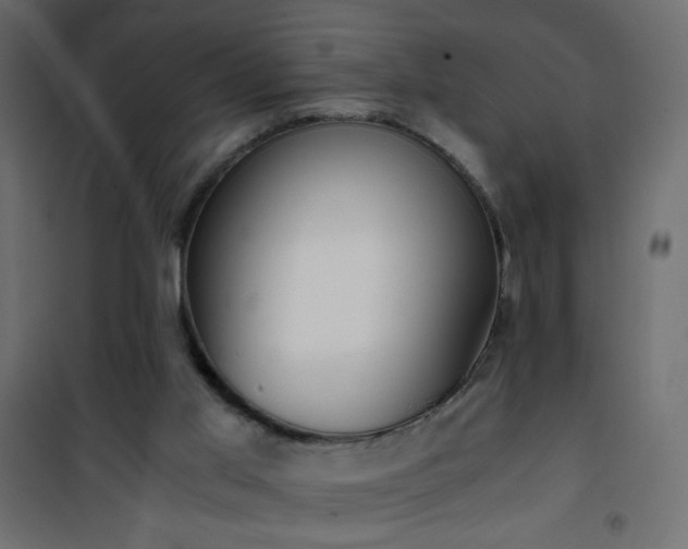 X0000101430013200807141253