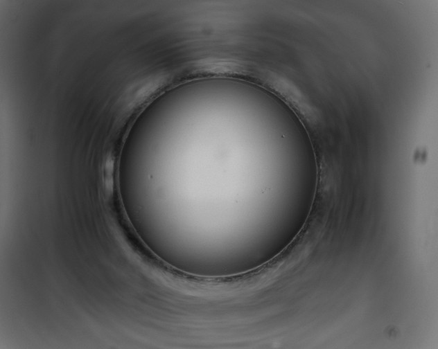 X0000101430014200807141253