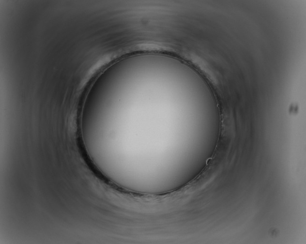 X0000101430015200807141253