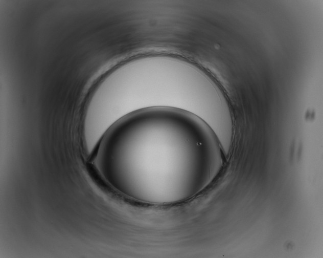 X0000101430016200807141253