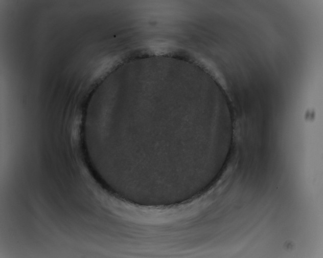 X0000101430018200807141253