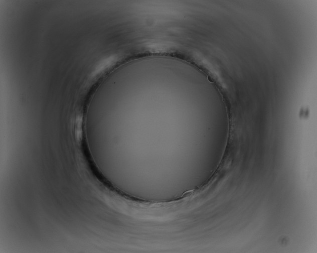 X0000101430019200807141253