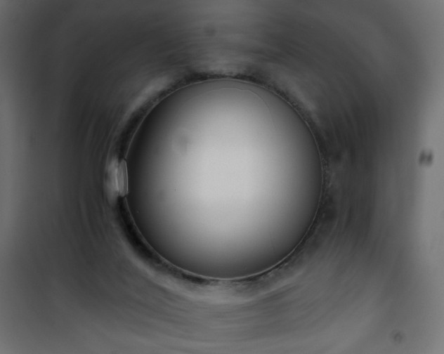 X0000101430020200807141253