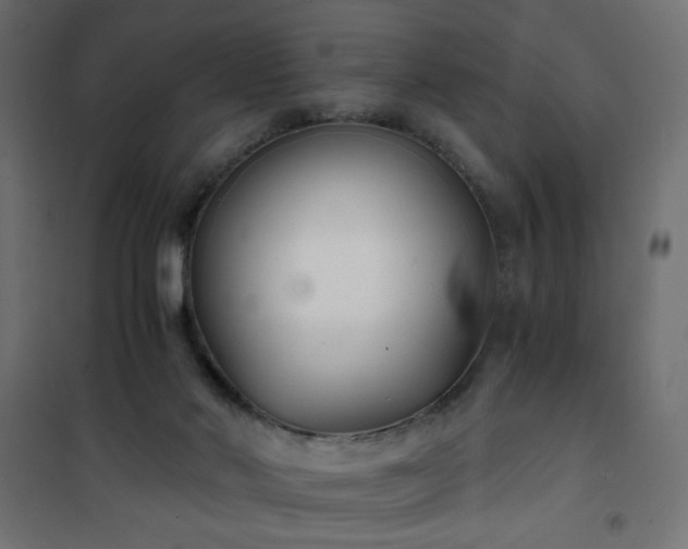 X0000101430022200807141253