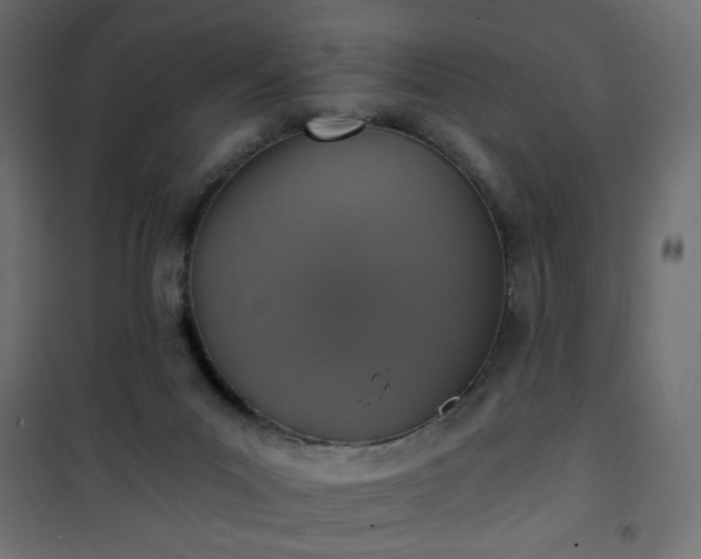 X0000101430023200807141253