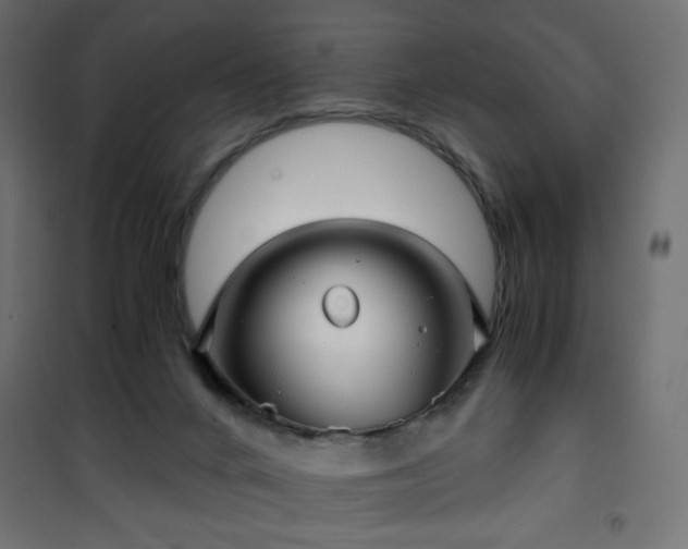 X0000101430024200807141253