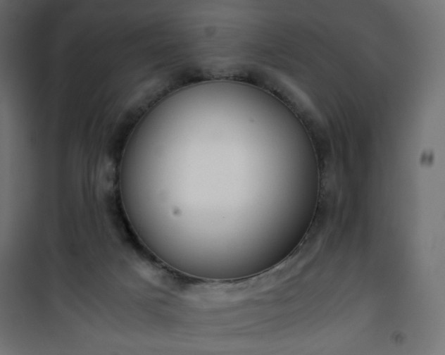 X0000101430025200807141253