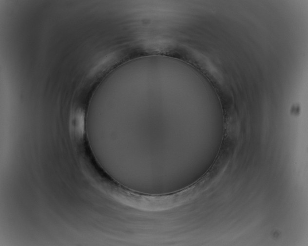 X0000101430027200807141253