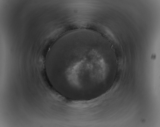 X0000101430029200807141252