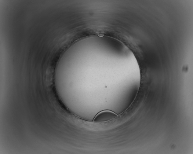 X0000101430030200807141252