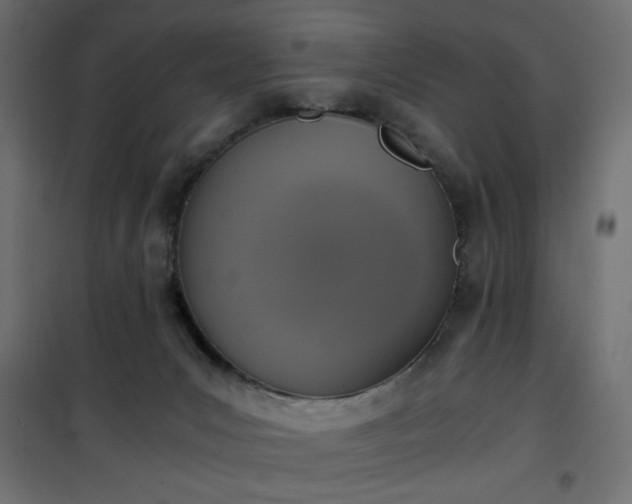 X0000101430031200807141252