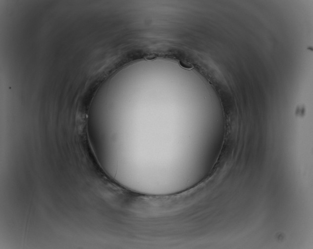 X0000101430033200807141252