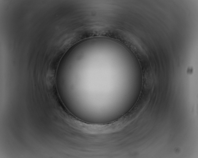 X0000101430034200807141252