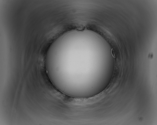 X0000101430037200807141252