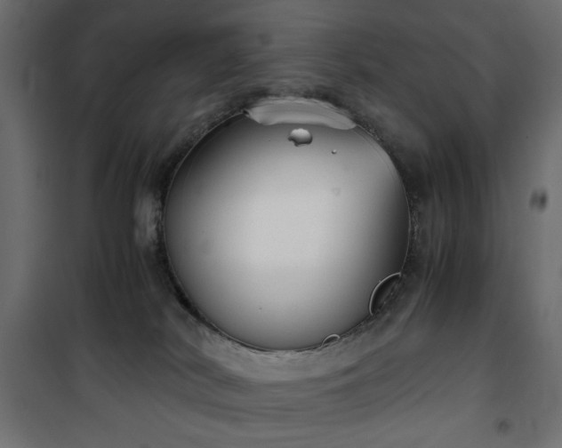 X0000101430038200807141252