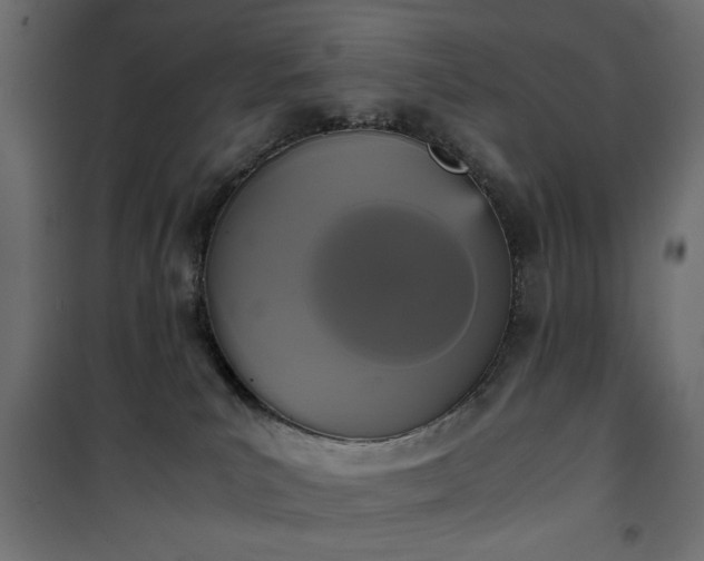 X0000101430039200807141252