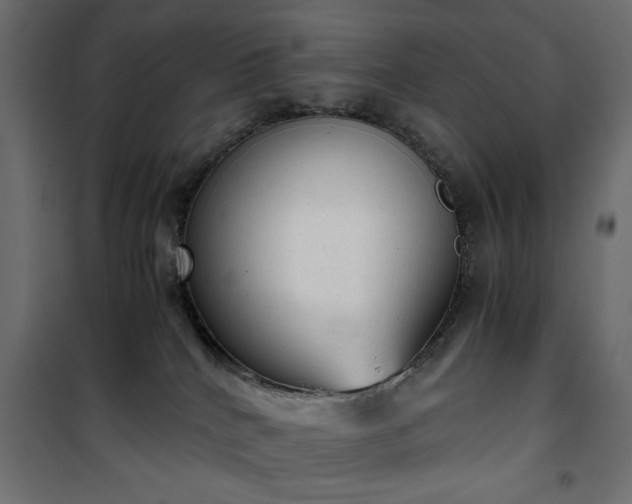 X0000101430040200807141252