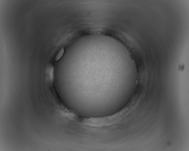 X0000101430041200807141252