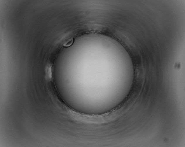 X0000101430042200807141252